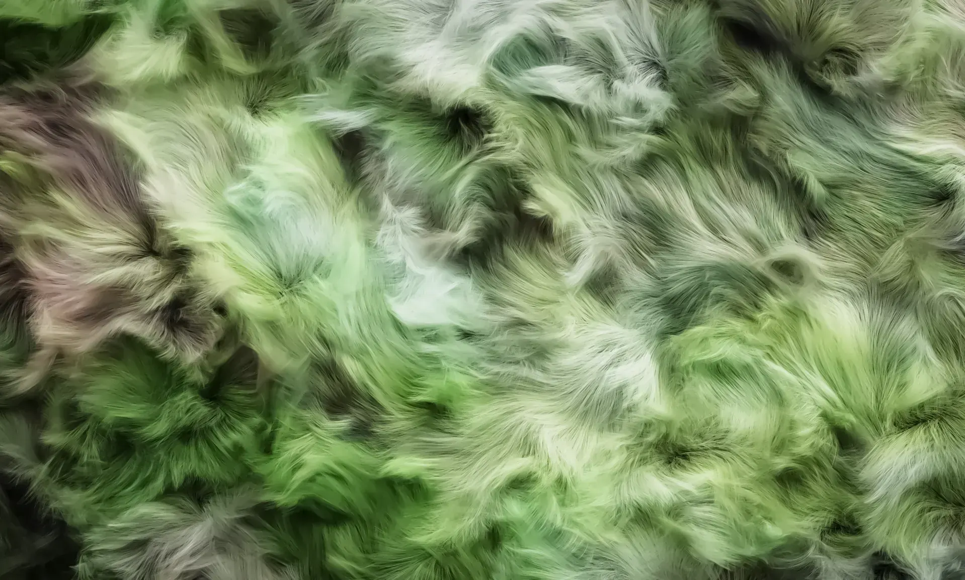 Green Hair Study
